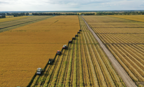 簽約信息：上海大型農(nóng)業(yè)集團(tuán)引入標(biāo)領(lǐng)wms系統(tǒng)_wms智能倉(cāng)儲(chǔ)系統(tǒng)