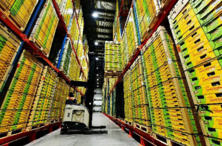 冷鏈倉儲系統(tǒng)的上架策略有哪些？