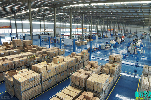 標(biāo)領(lǐng)冷庫(kù)WMS與ERP系統(tǒng)集成：提升冷鏈物流管理效率的關(guān)鍵